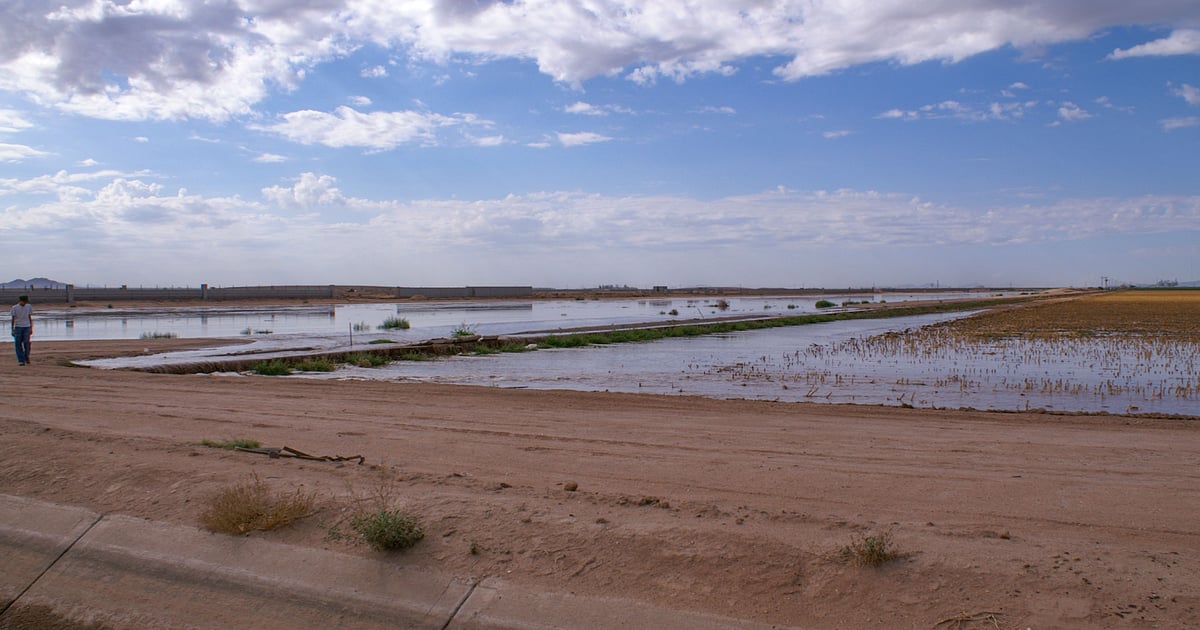 Despite different geography, many Sunbelt farmers face similar water issues
