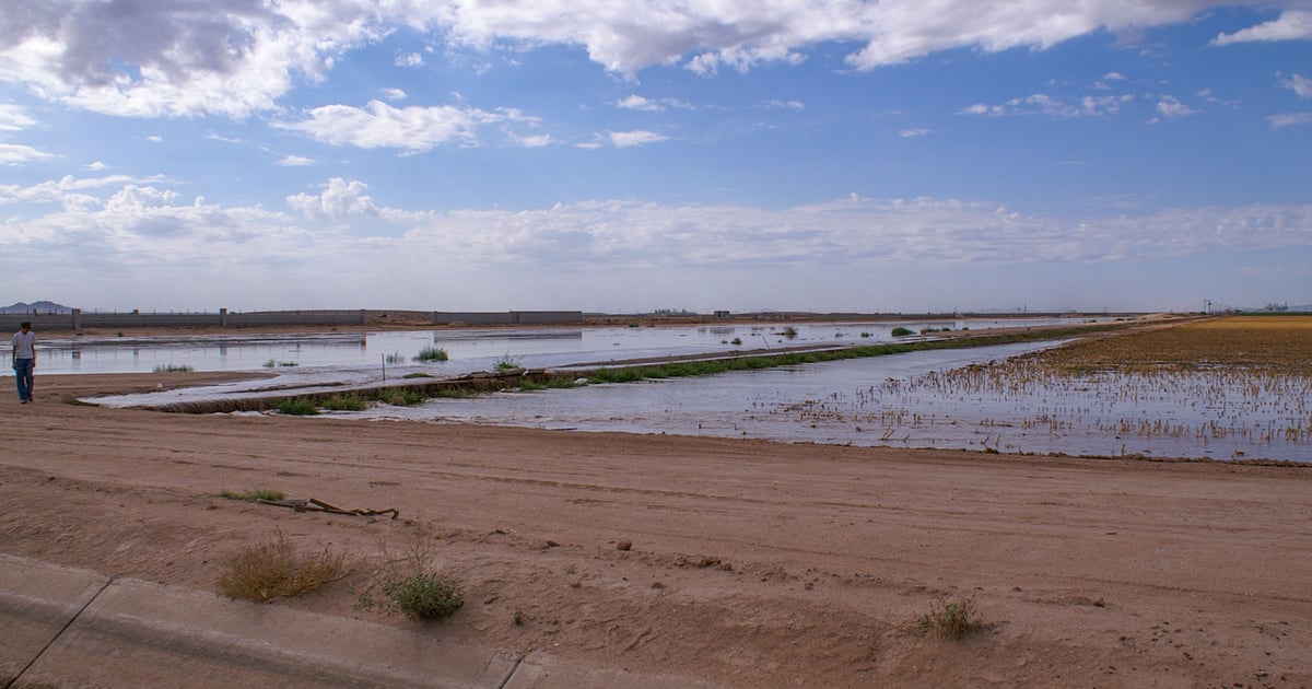 Farmers across Sunbelt face similar water issues
