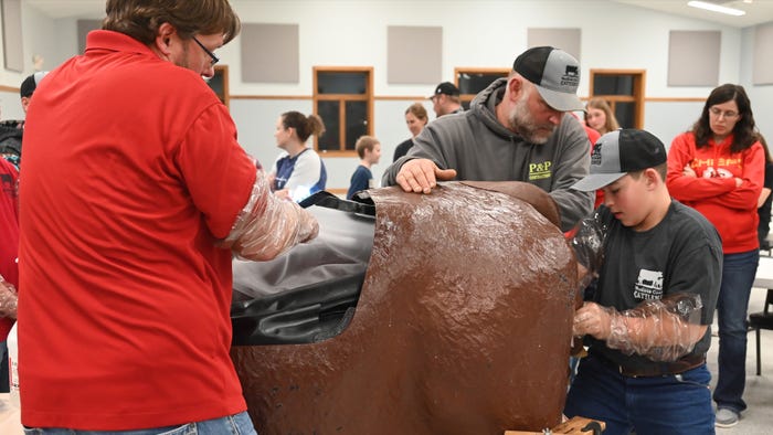 Boy practicing assistance with calf birth using simulator 