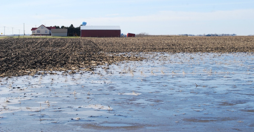 flooded field