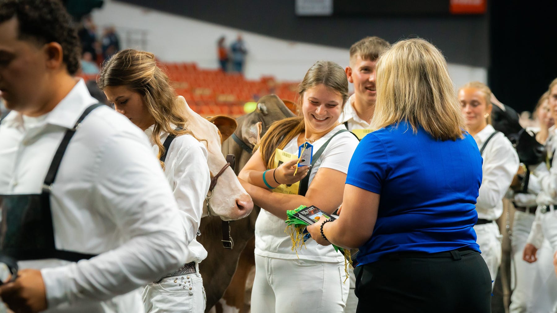 dairy cattle exhibitors showing cows