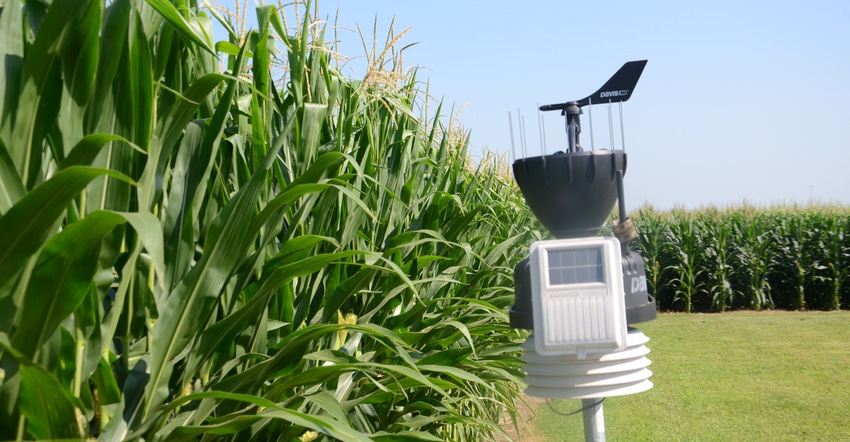 weather station next to cornfield