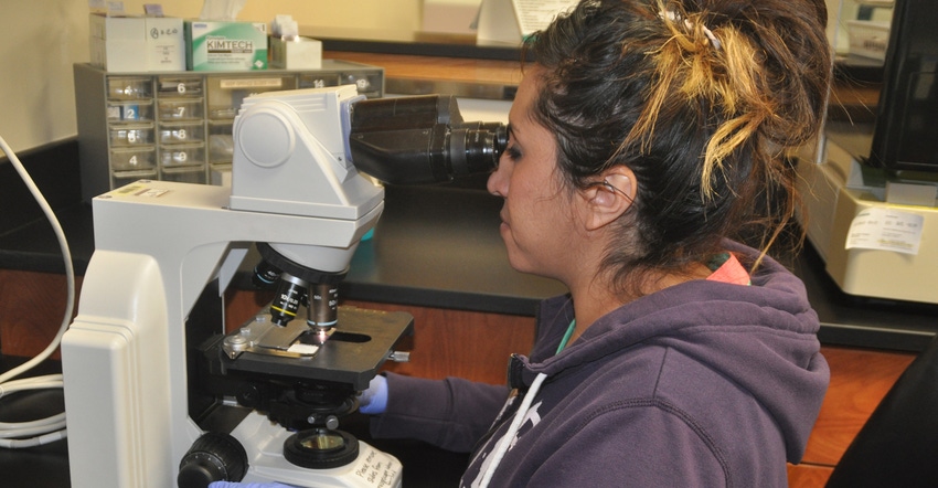 Hospital worker looking through microscope