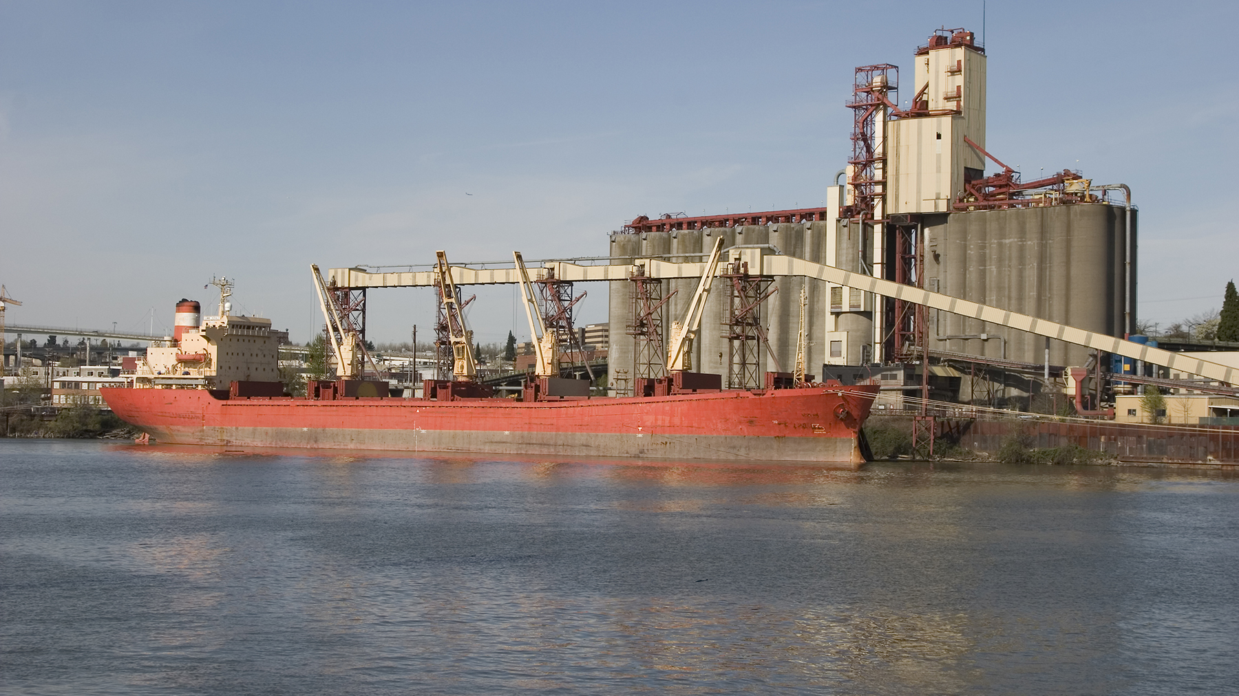Ship at grain terminal