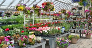 flower greenhouse