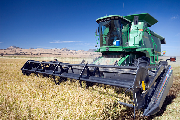 Provisia rice set to make jump in Mid-South acres