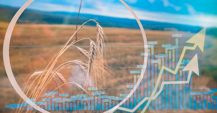 Wheat agricultural farm with growing analysis stock graph Wheat agricultural farm with growing analysis stock graph