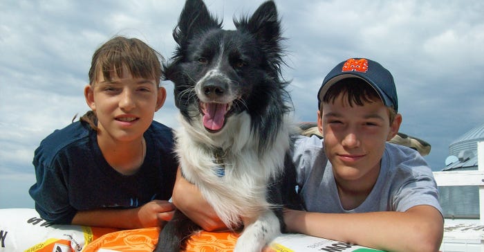 border collie between two kids