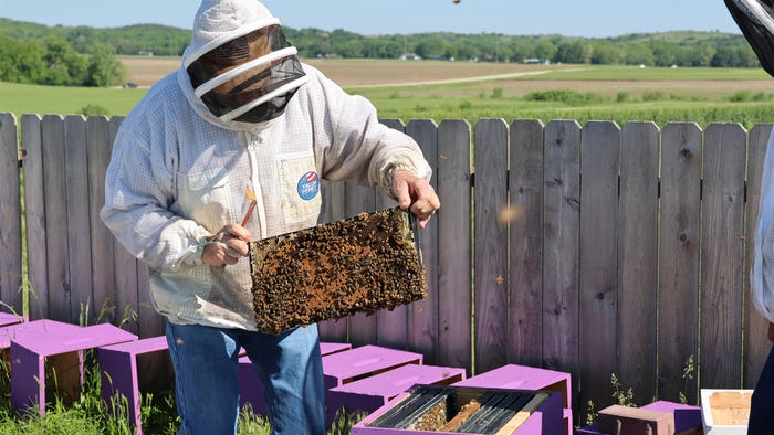 Gary LaGrange holds a frame from one of the hives of bees located at the Kansas State University Agronomy Farm 