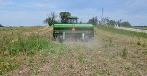 planting soybeans