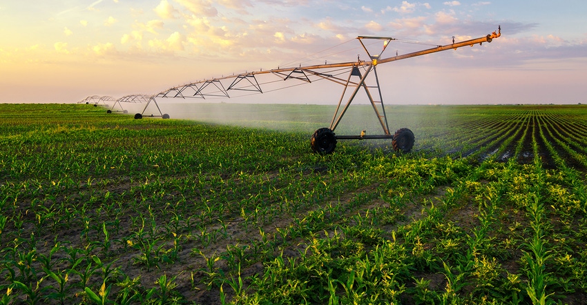 irrigation system watering corn field
