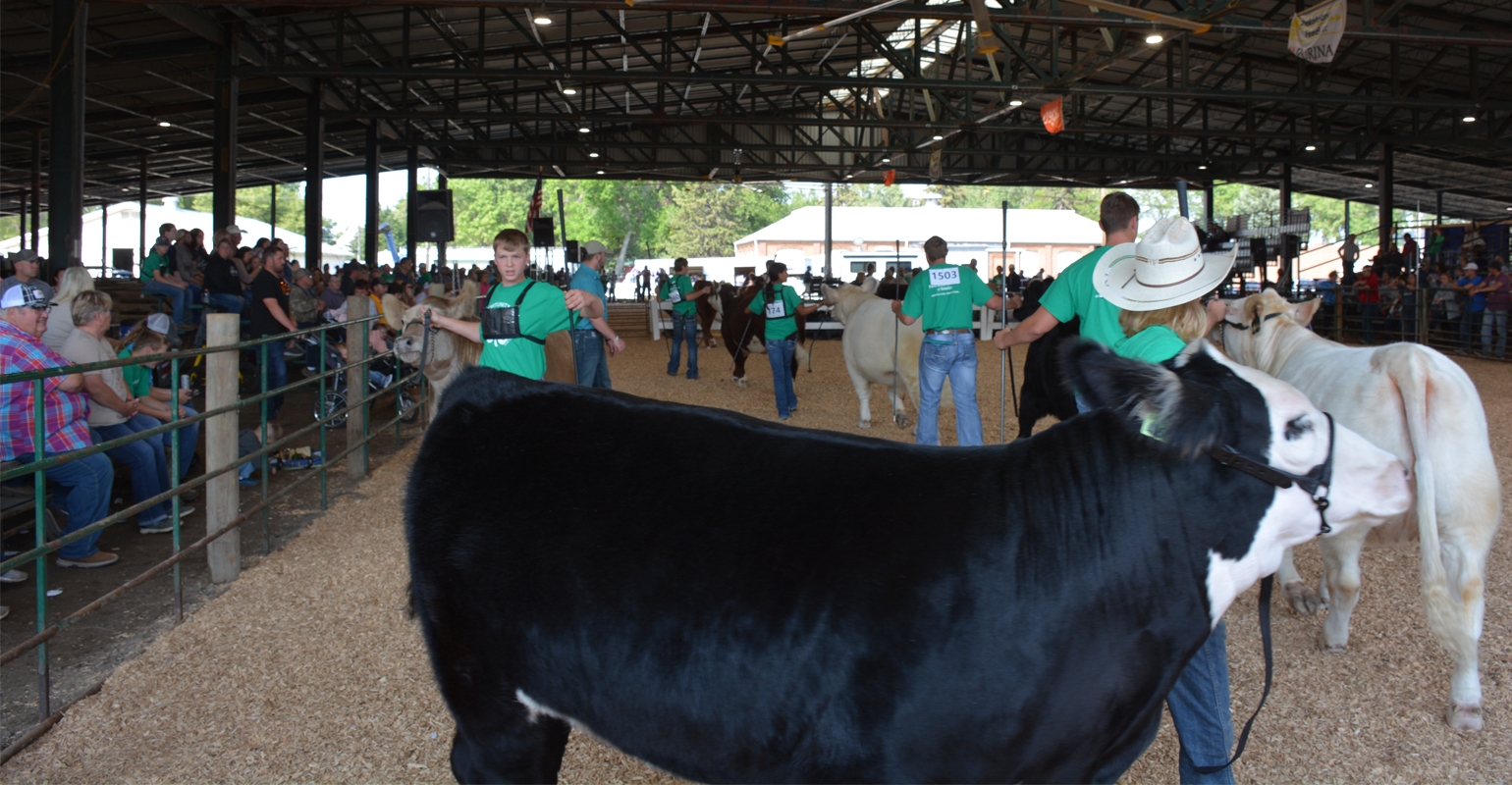 Meade County Fair 2024 Schedule Plan Your Fun Filled Days   0530W1 1304A 1540x800 