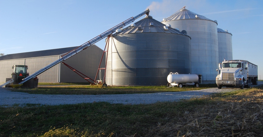 Grain stoarage bin