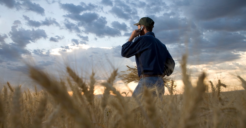 Farmer in field on cell phone 