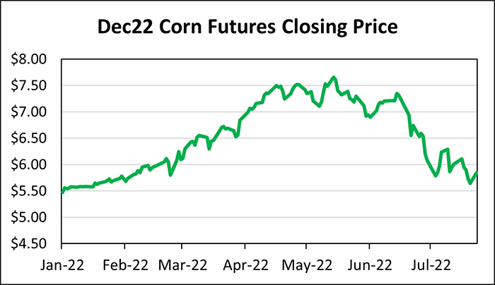 Corn futures prices since spring 2022