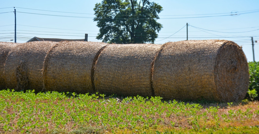 Bales of hay form a line
