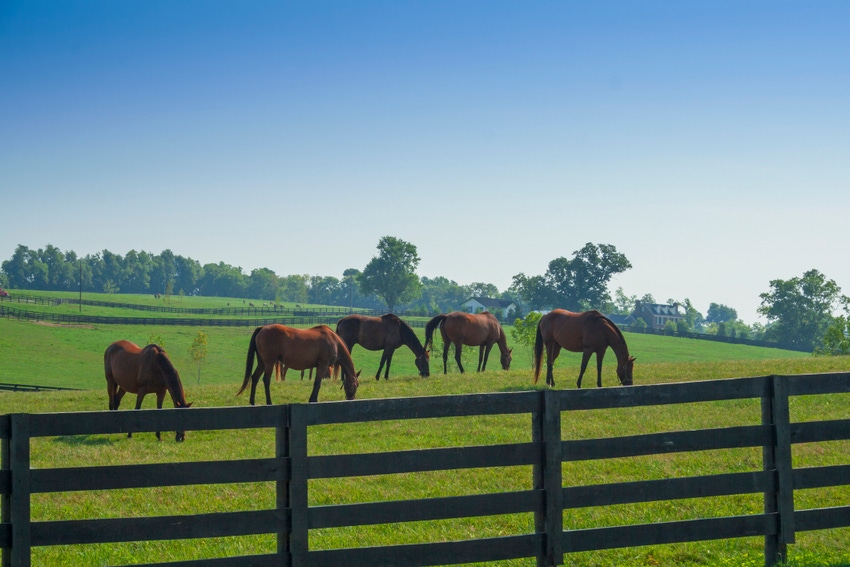 Kentucky-farm-horses-GettyImages-495666491.jpg