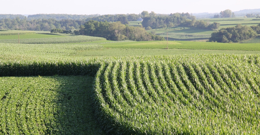 landscape of corn and soybean fields