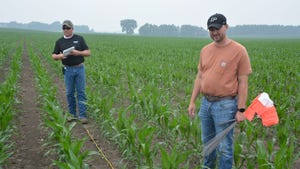 Dan Quinn and Pete Illingworth in a cornfield