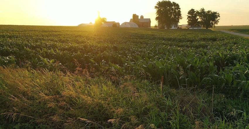 Field with farmstead in view at sunrise