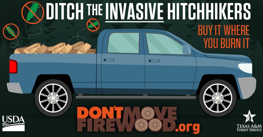wood-forest-service.jpg wood-forest-service.jpg