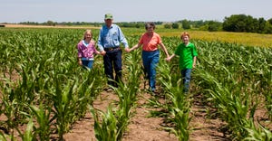senior couple walks in cornfield with grandchildren