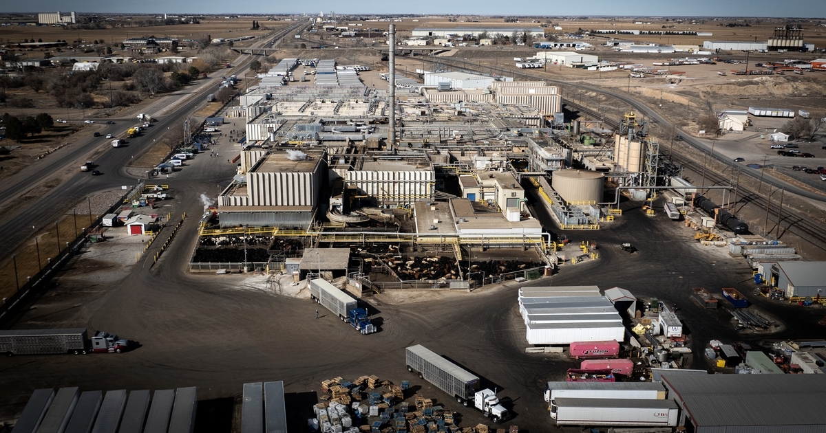 Cheap U.S. beef at risk as Trump seeks to deport Haitian workers