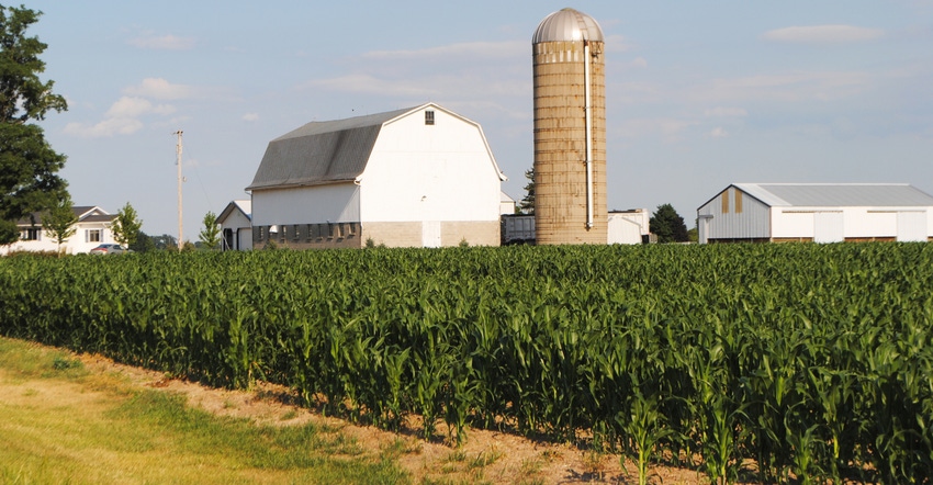corn field with white barn, silo and small barns in background