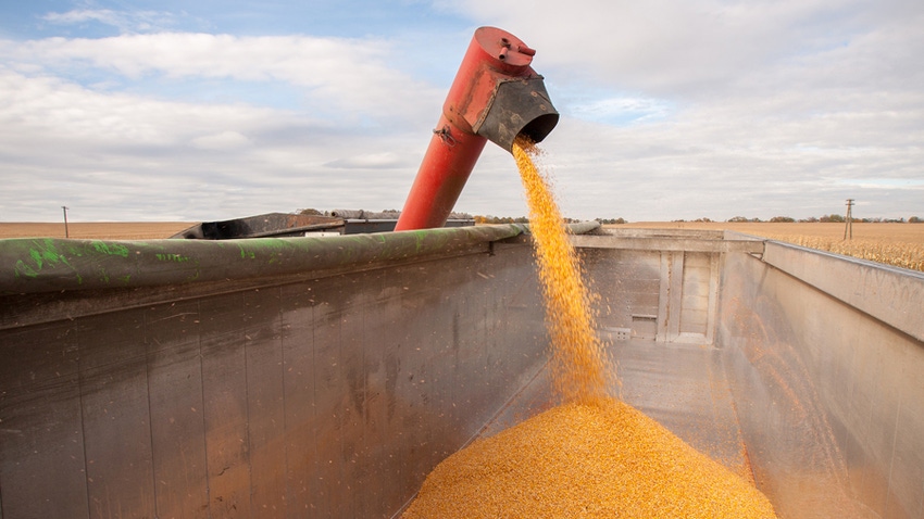 Combine in Brazil unloading corn into grain truck