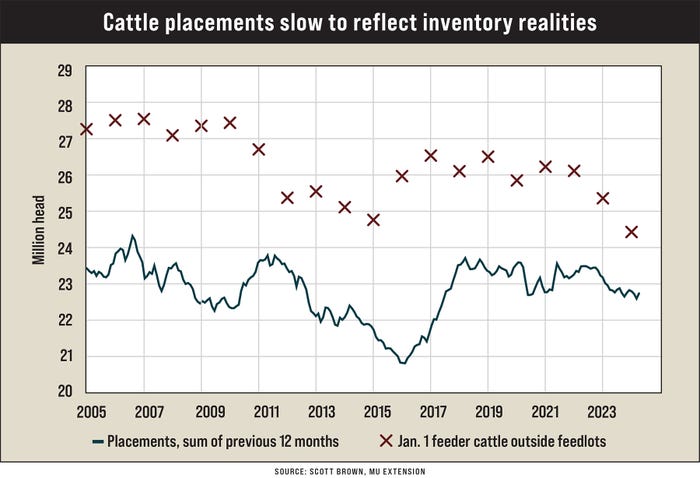 A graph showing how cattle placements is slow to reflect inventory realities