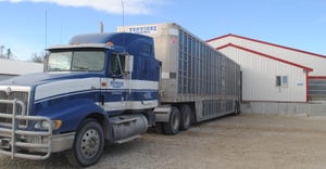 Truck carrying swine and barn