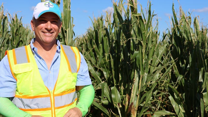 Senior agronomy lead for Bayer Crop Science Atila Deak standing in a cornfield at company’s seed farm Senior agronomy lead for Bayer Crop Science Atila Deak standing in a cornfield at company’s seed farm