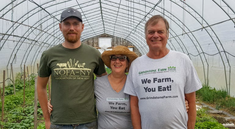 Lucas, Vic and Dick de Graff inside a greenhouse at Grindstone Farm