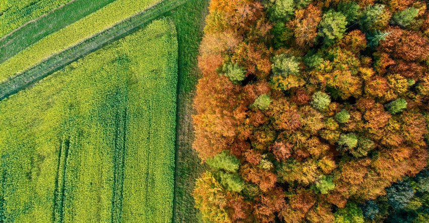 Aerial view of trees during fall and field Aerial view of trees during fall and field