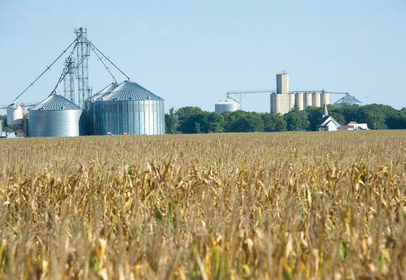 Grain farmers resort to giant storage bags to avoid cheap sales - Brainerd  Dispatch