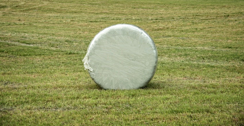 A single hay bale wrapped in white plastic in the middle of a field