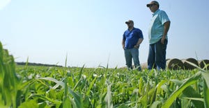 two men standing in young cover crop