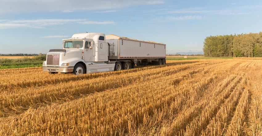 Semi trailer loaded with corn parked in a harvested field