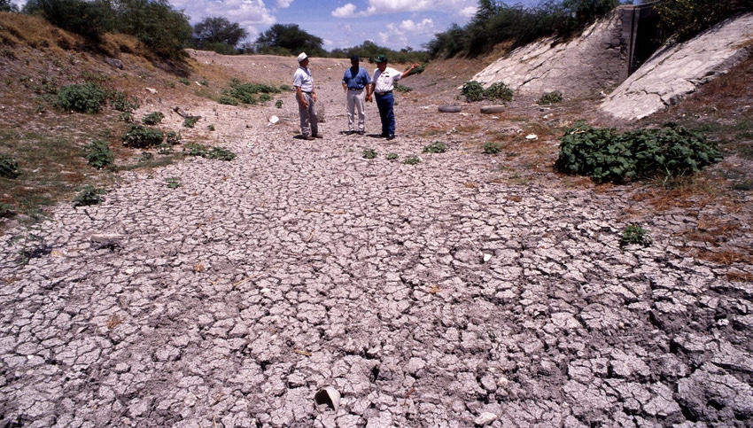 WFP-ARS-drought.jpg