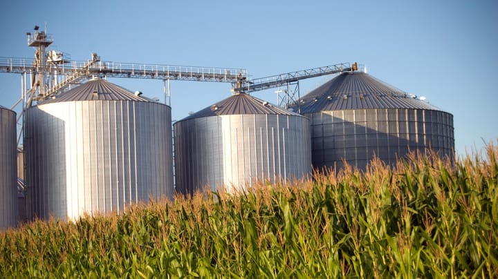 Is storing corn really a safe bet?