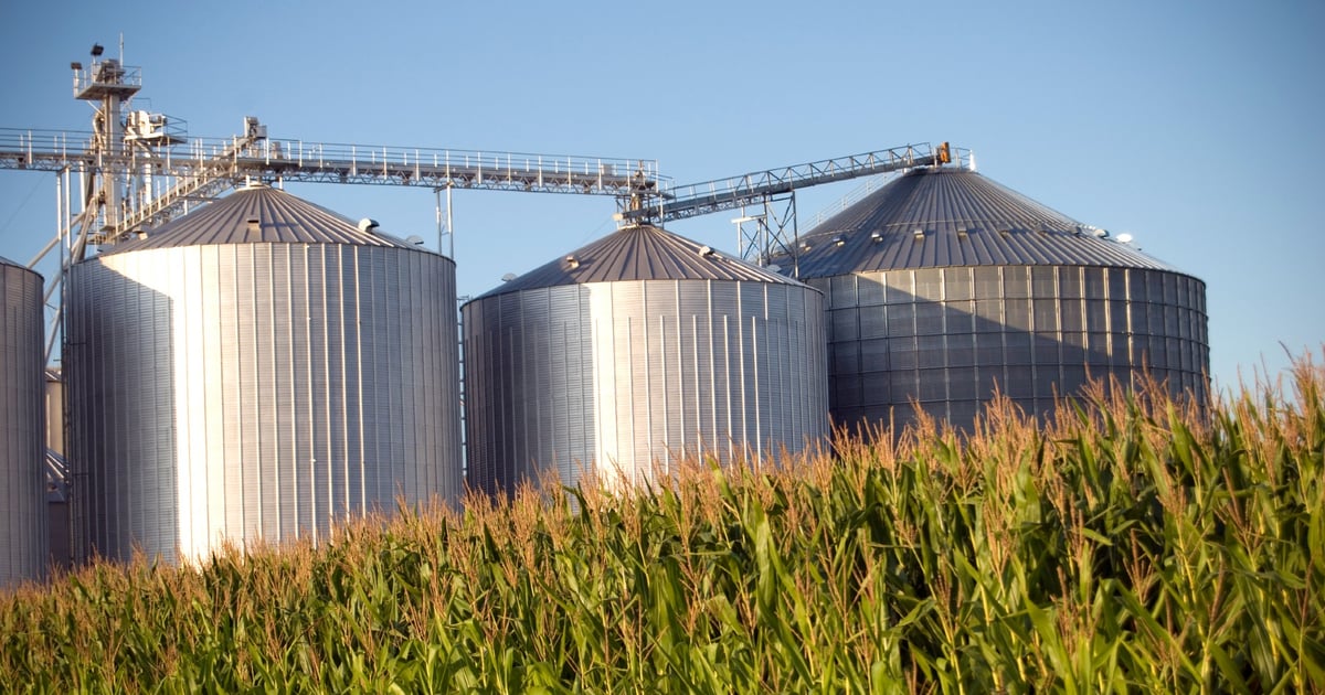 Is storing corn really a safe bet?