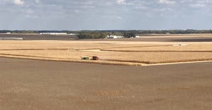 Combines in field of corn with farmstead in background