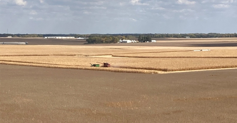 Combines in field of corn with farmstead in background