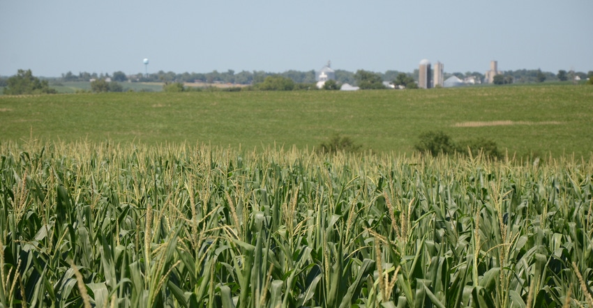 corn field with farm in the distance