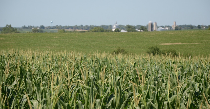 corn field with farm in the distance corn field with farm in the distance