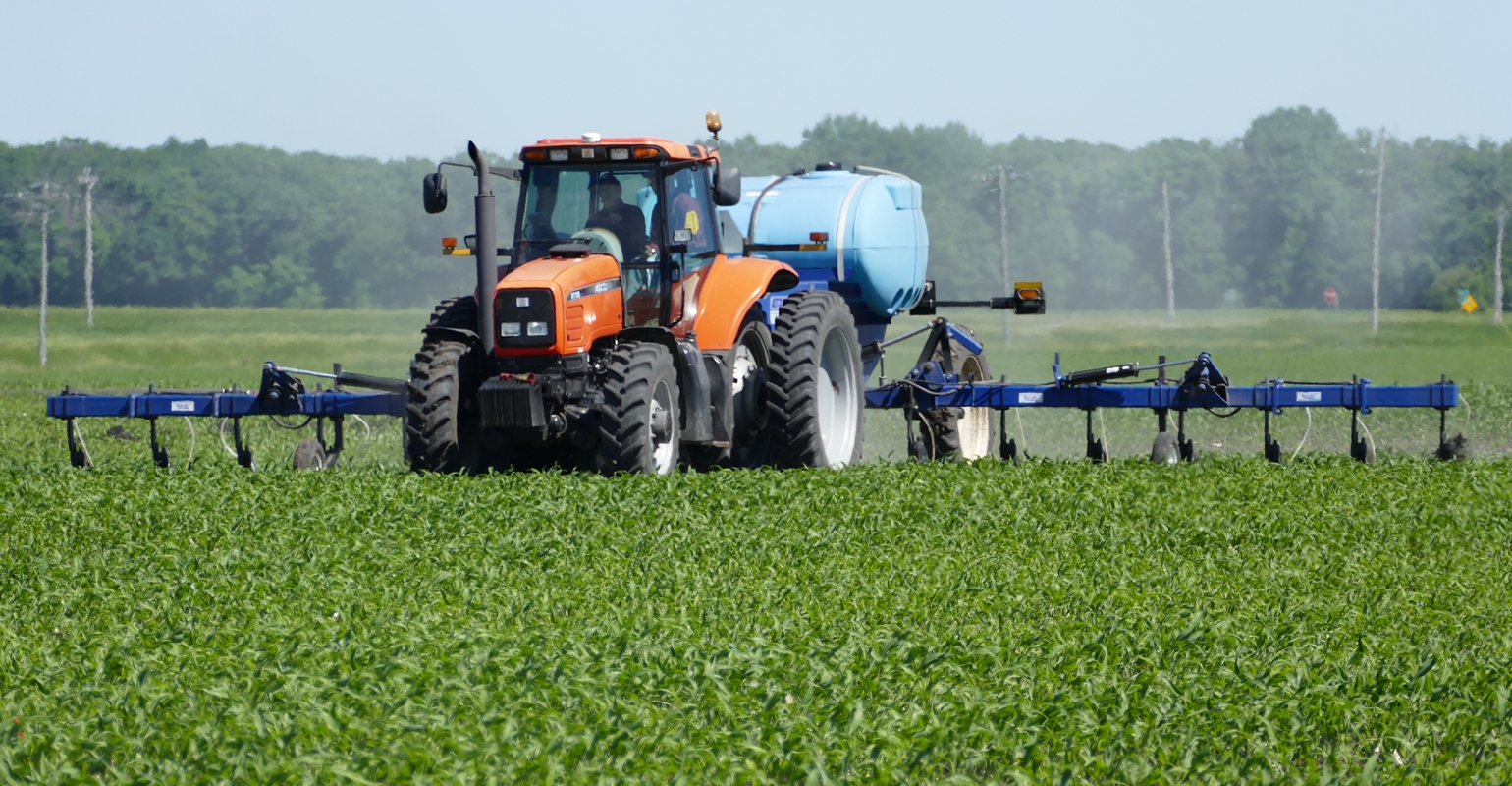 Green stems appear in soybeans again