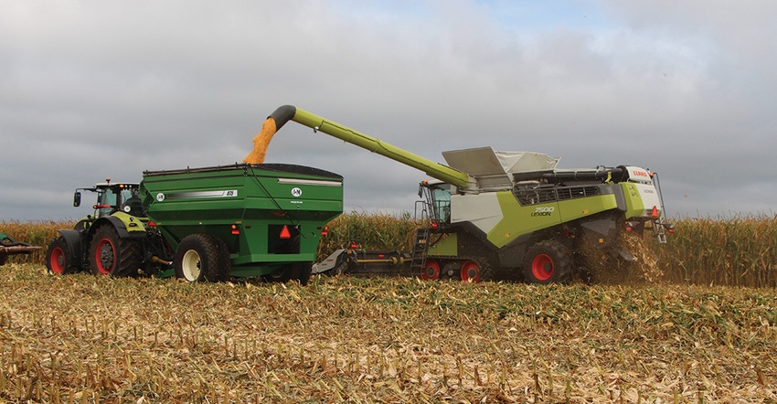 Corn being harvested at HHD demo Corn being harvested at HHD demo