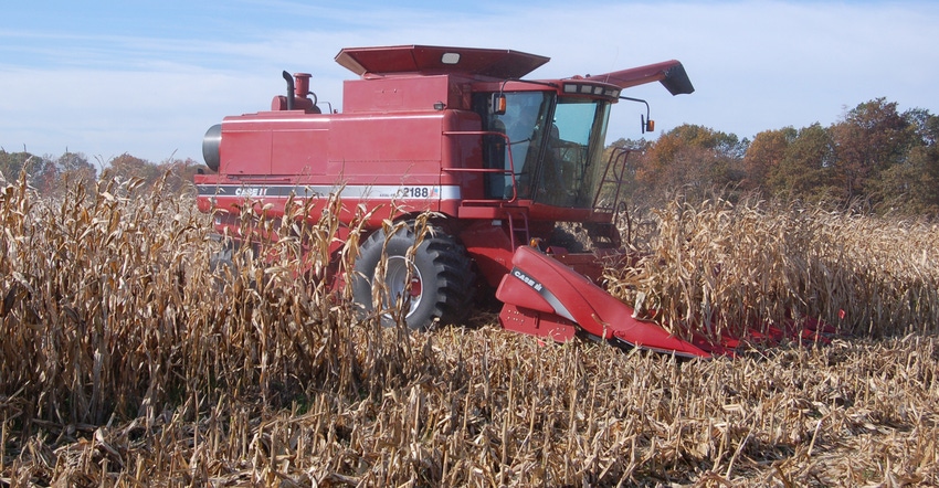 combine harvesting corn