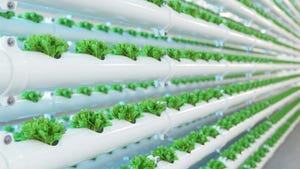 Vertical farming business challenged