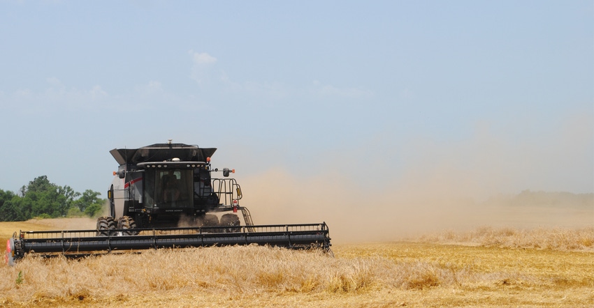 Wheat being harvest 